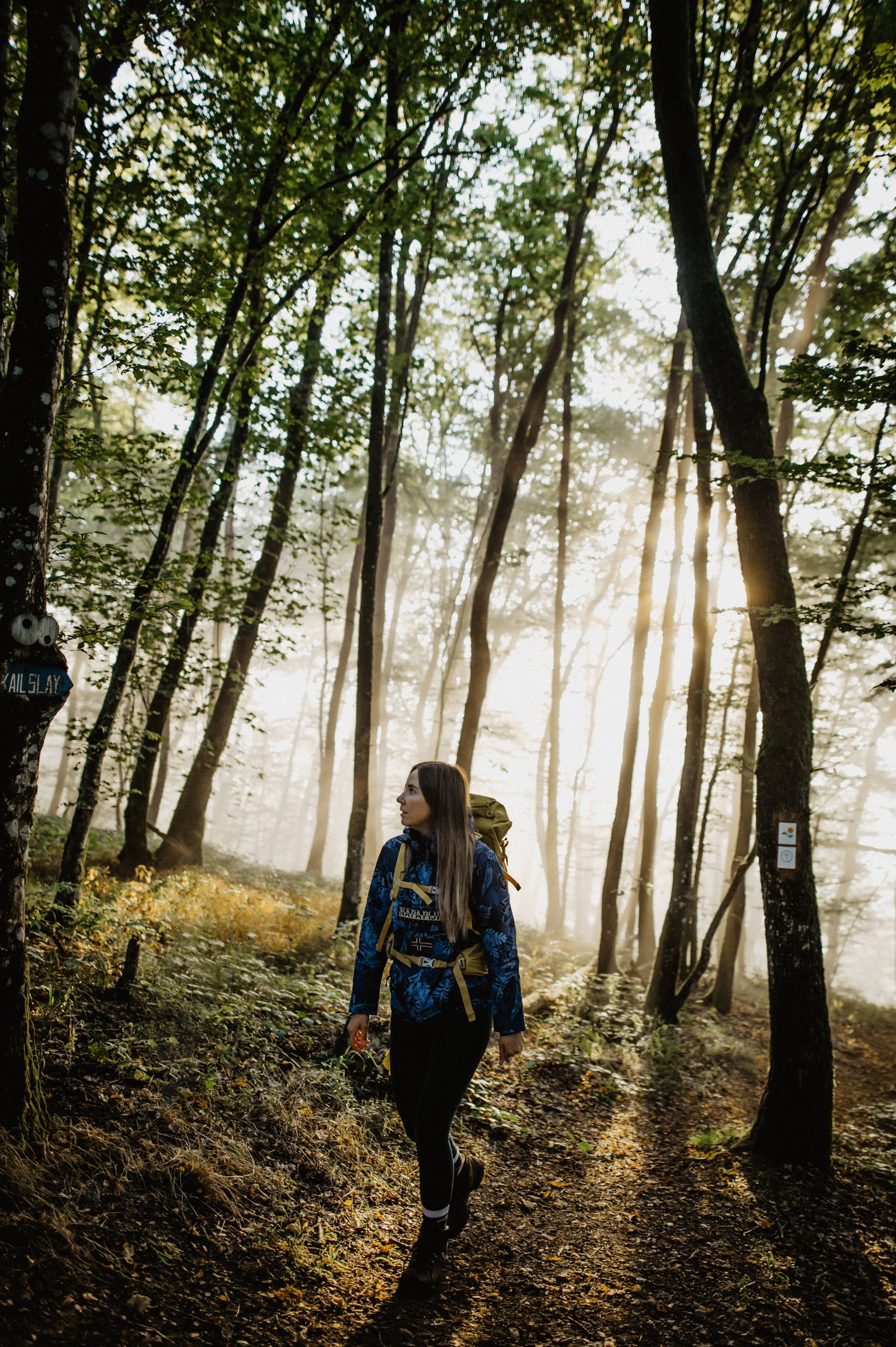 Escapardenne Lee & Éislek Trail